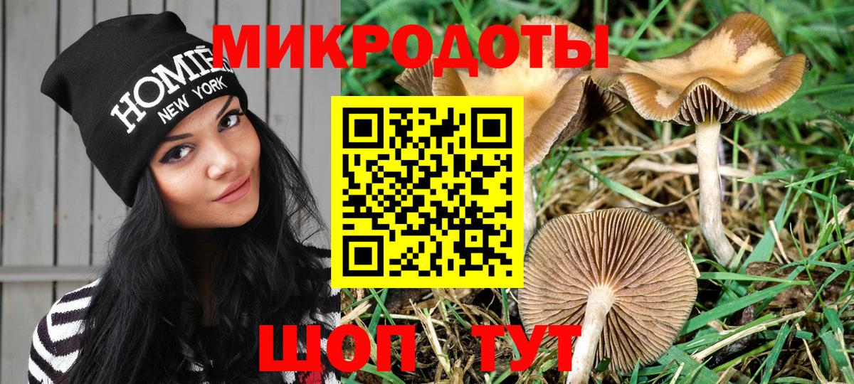 Псилоцибиновые грибы прущие грибы Геленджик